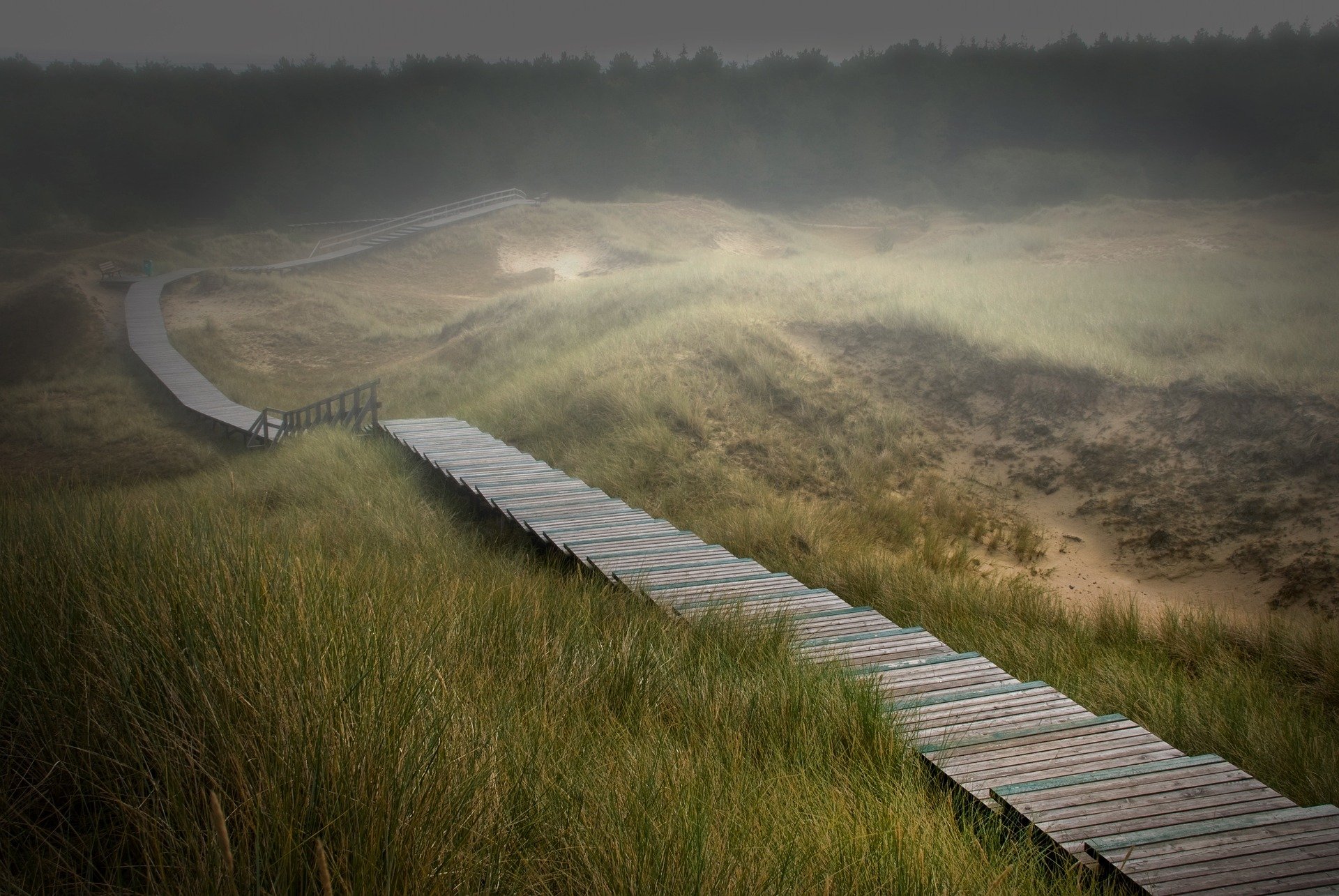 Amrum - stezka