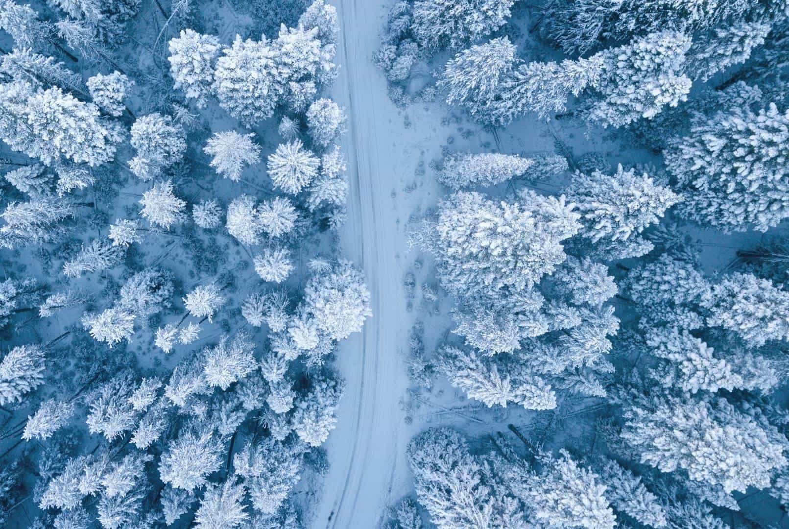Autem na lyže do Alp bez starostí: Kontrola auta, zavazadla i cestovní pojištění