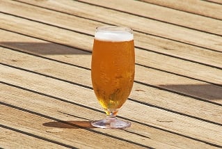 Pivo