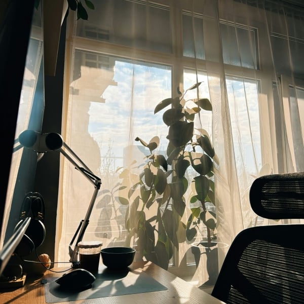 Home office tropy