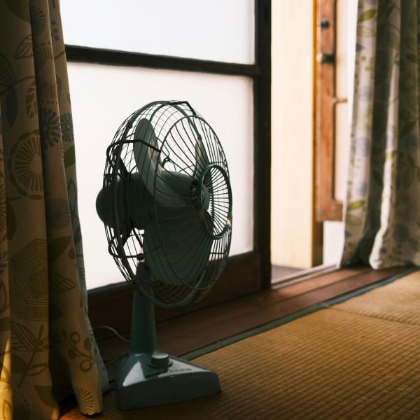 Ventilátor tropy