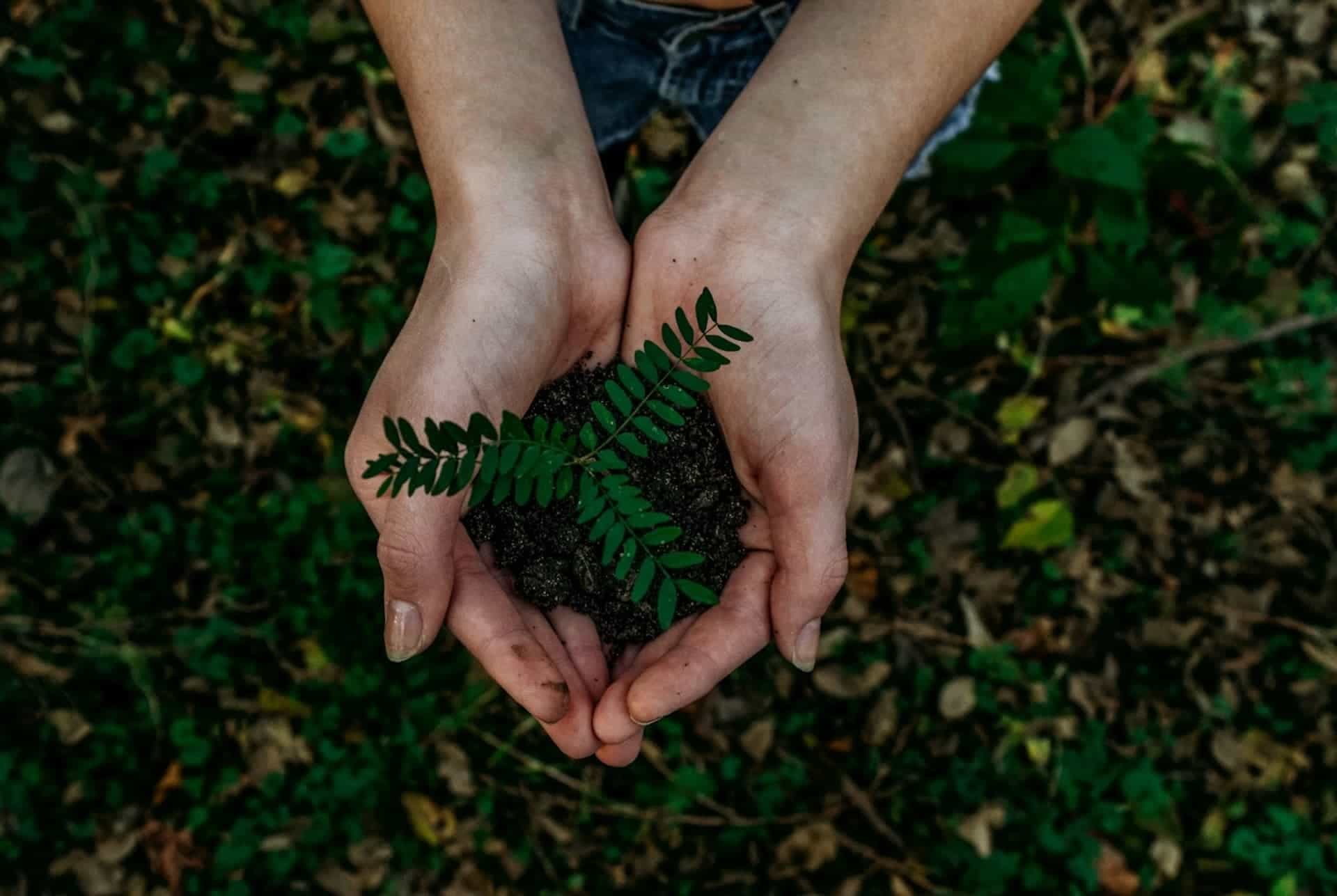 22 užitečných tipů pro ekologičtější život