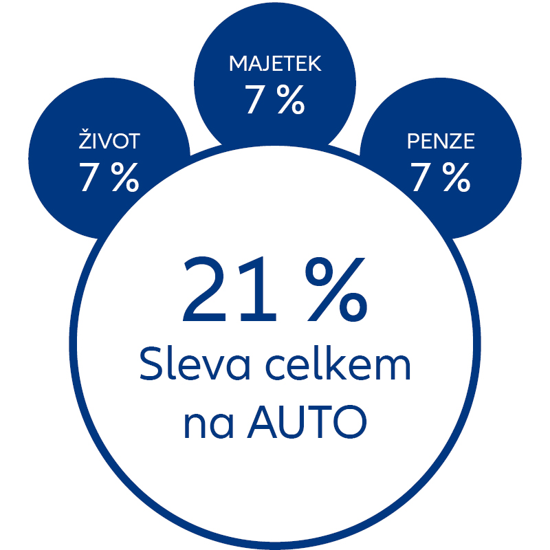 21 % sleva celkem na autopojištění