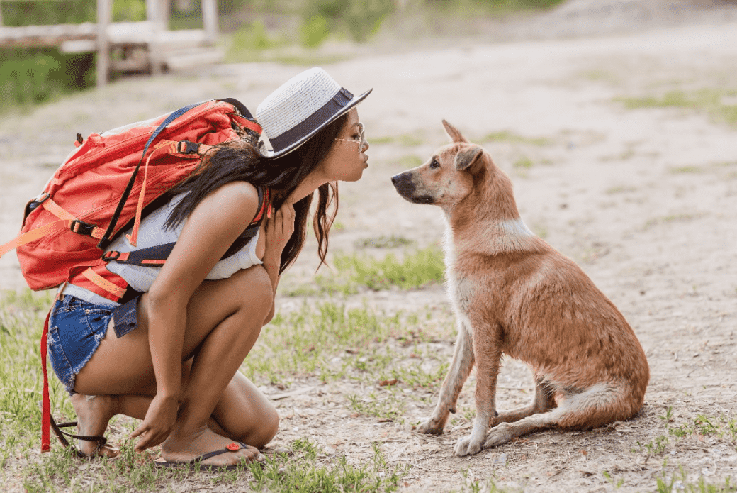 Dívka na výletě se psem